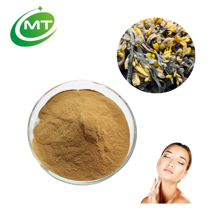 Bladderwrack Extract