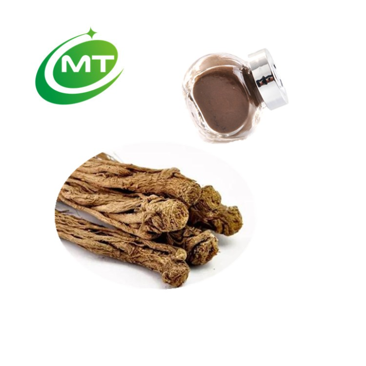 Angelica Root Extract