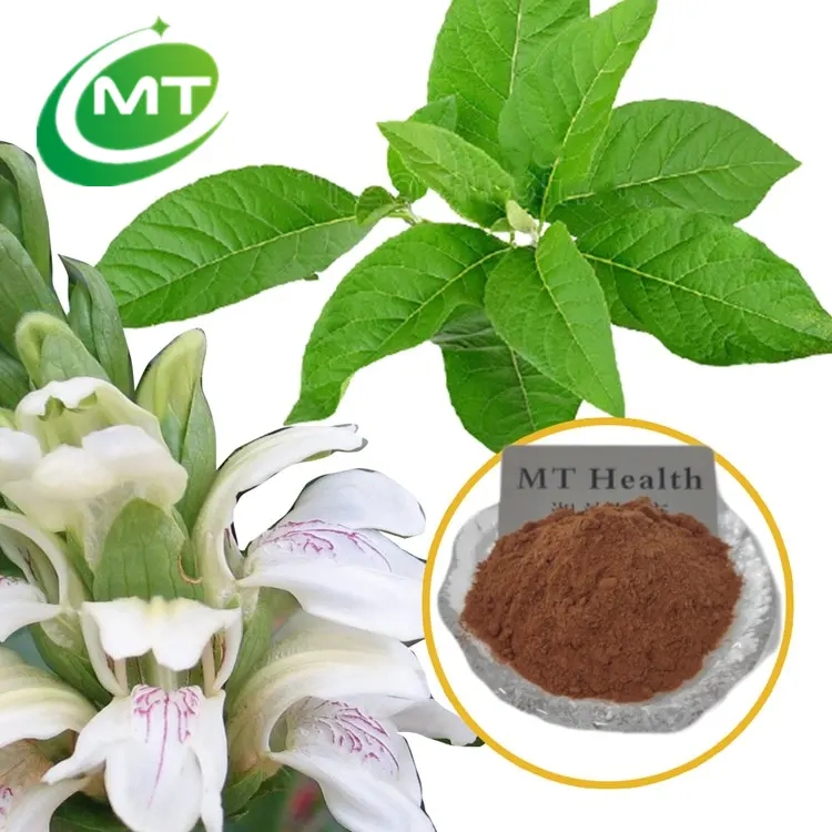 Vasaka Leaf Extract