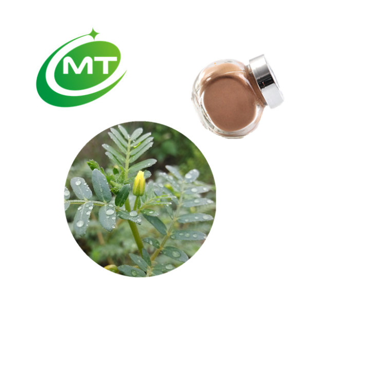 Tribulus Terrestris Extract