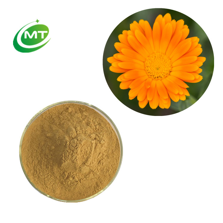 Екстракт от невен (Calendula Officinalis)