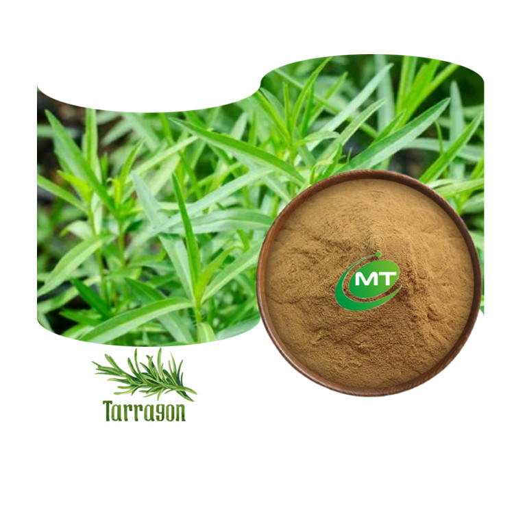 Tarragon Extract