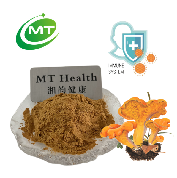 Cantharellus Cibarius Extract