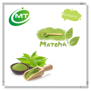 茶叶提取物粉末