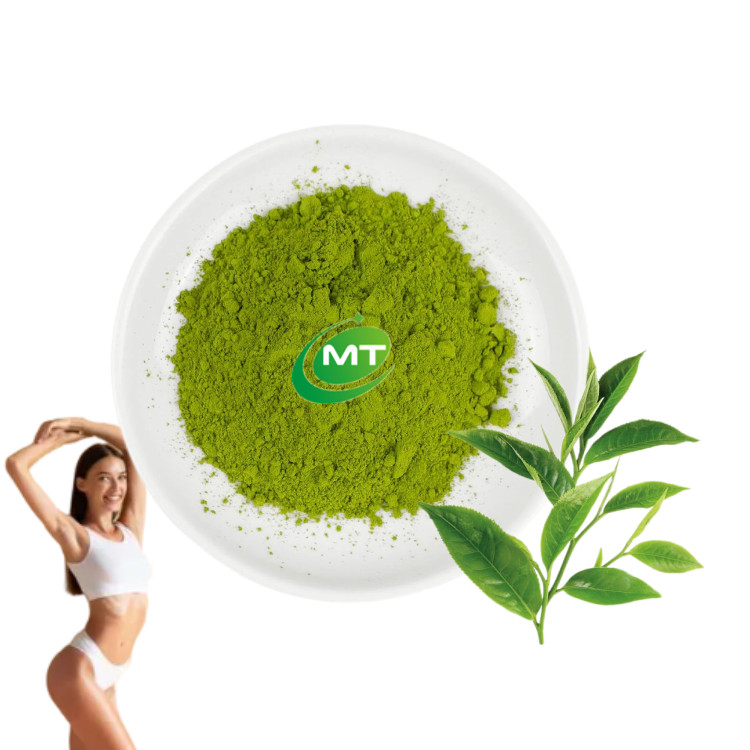 Matcha Powder