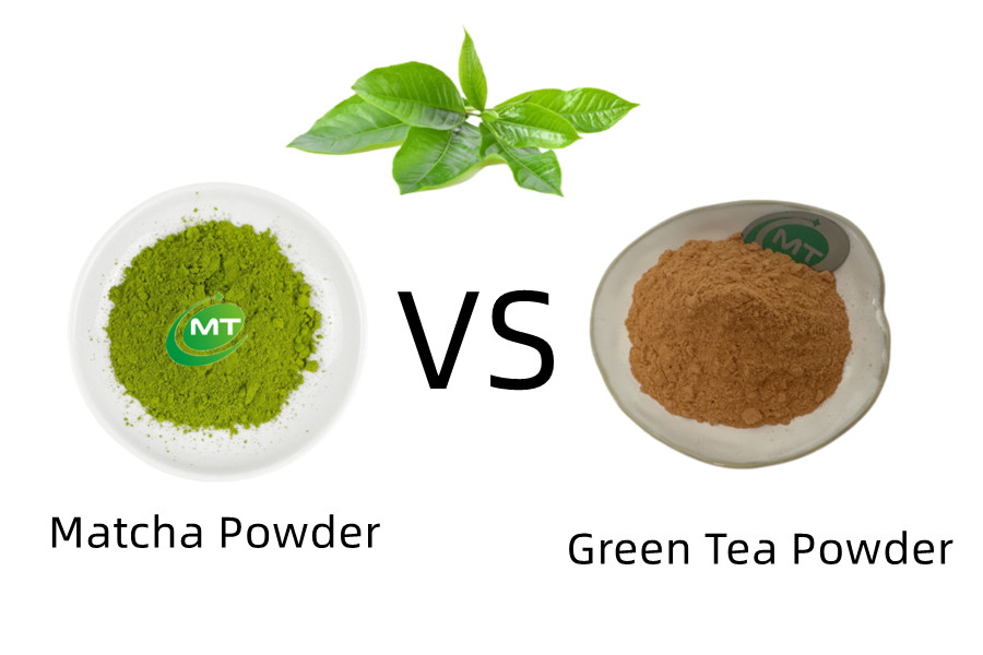 Is matcha powder stronger than green tea?