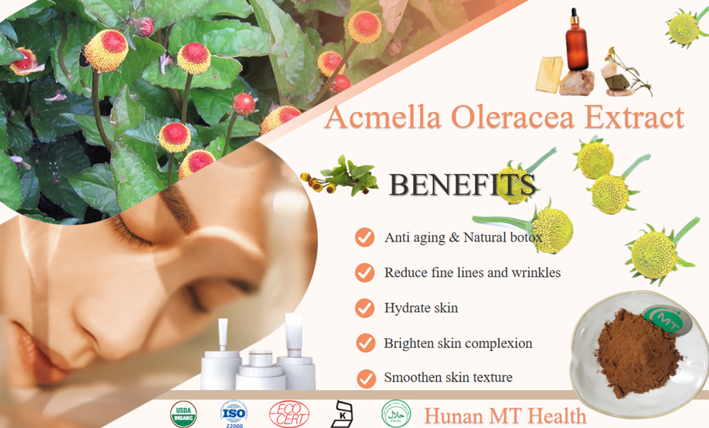 Acmella Oleracea Extract for skin