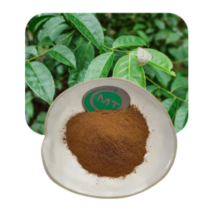 Guayusa Extract插图