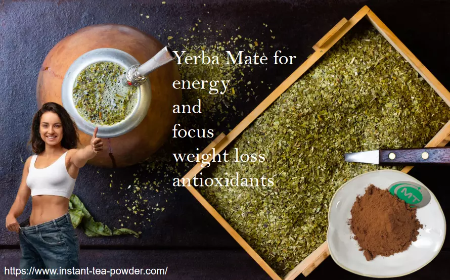 What is yerba mate extract used for?