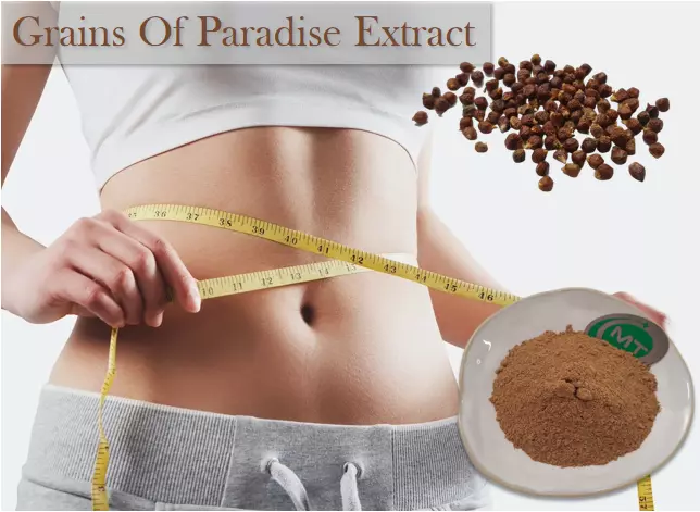 How to Use Grains of Paradise for Weight Loss?