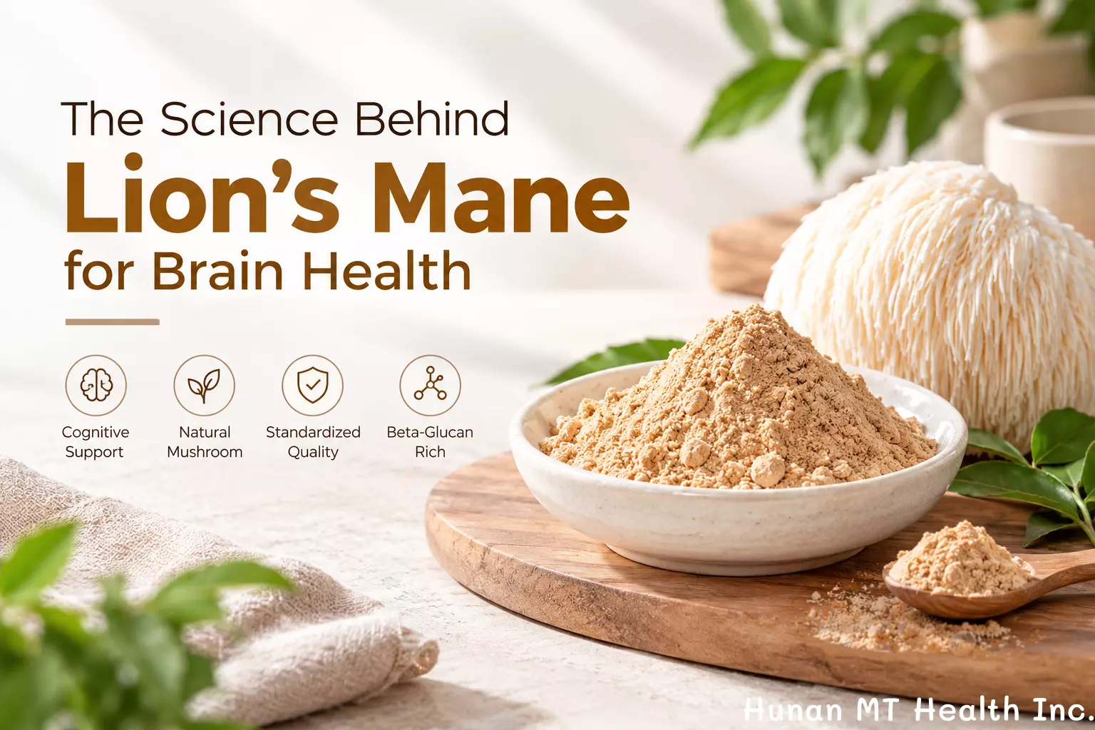 Why Is Lion’s Mane Trending for Brain Health?