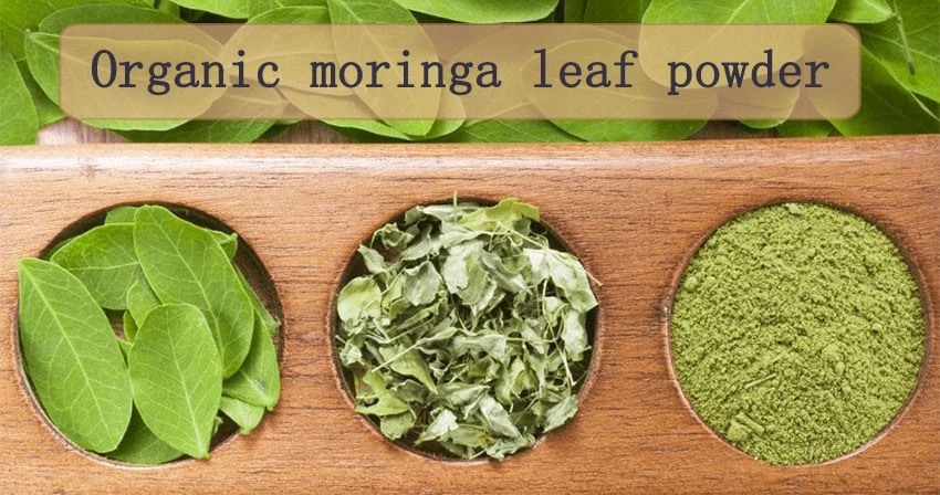 Moringa powder