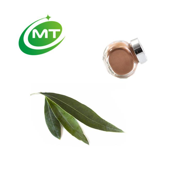 Cosmetic ingredients with stable ingredients—olive leaf extract