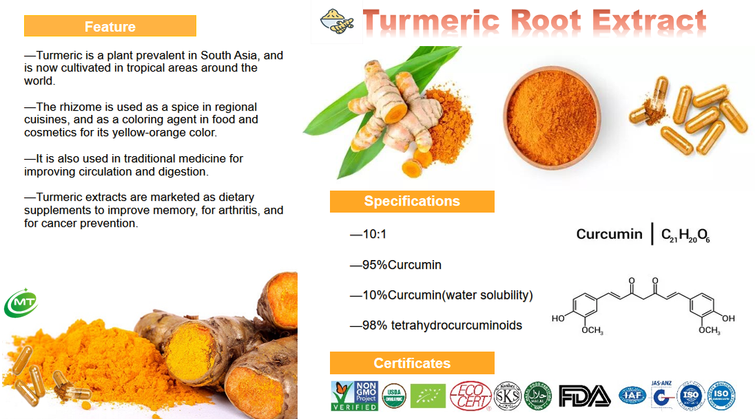 Curcumin Powder