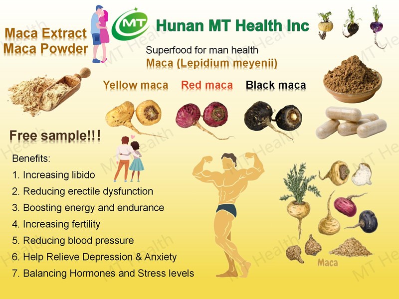 Maca Extract