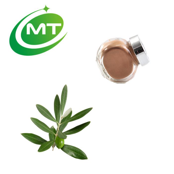 Cosmetic ingredients with stable ingredients—olive leaf extract