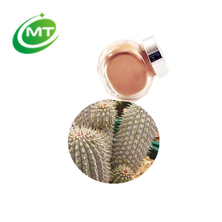 China supply organic 20:1 Hoodia Gordonii Extract