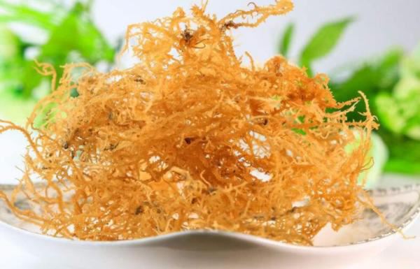 Chondrus Crispus Extract