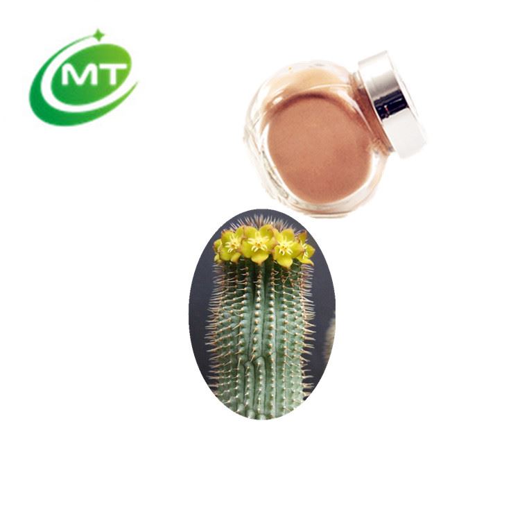 China supply organic 20:1 Hoodia Gordonii Extract