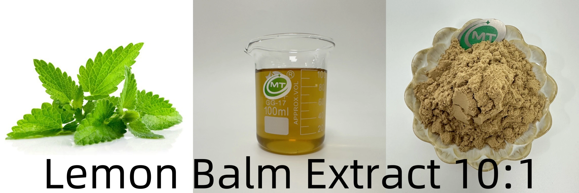 Lemon Balm Extract