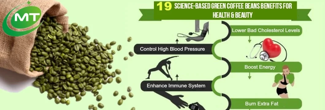 Green Coffee Bean Extract