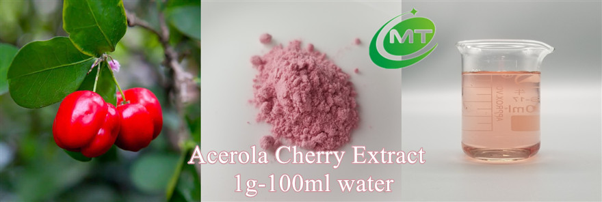 Acerola Cherry Extract