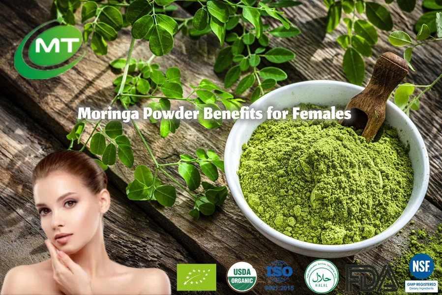 Moringa Powder Benefits for Females