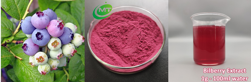 Bilberry Extract