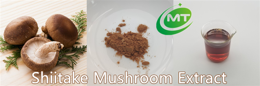 Shiitake Mushroom Extract