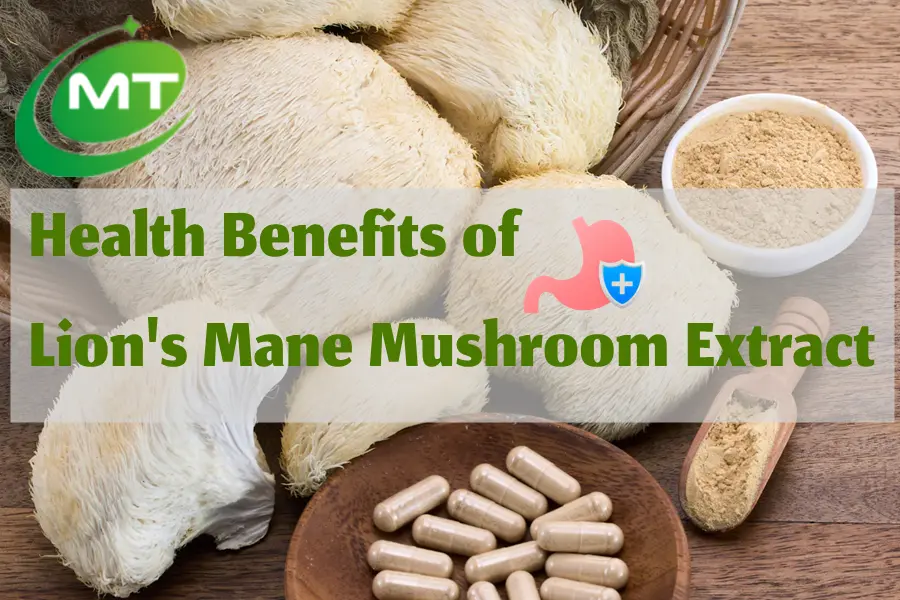 What Are the Health Benefits of Lion's Mane Mushroom Extract?