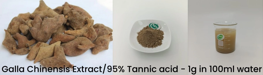 Galla Chinensis Extract