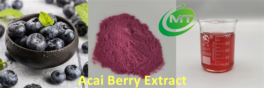 Acai Berry Powder