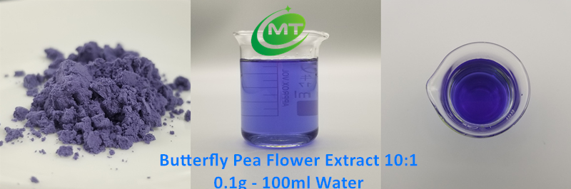 Butterfly Pea Extract