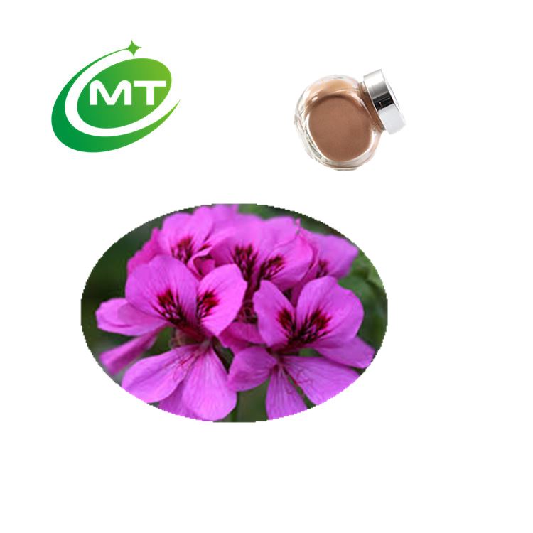 Organic Hot Sale Pelargonium Extract Powder