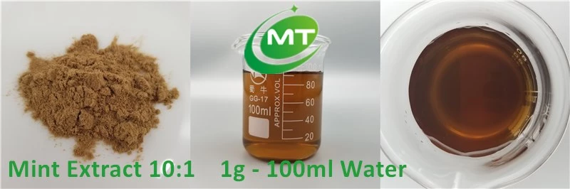 Mint Extract
