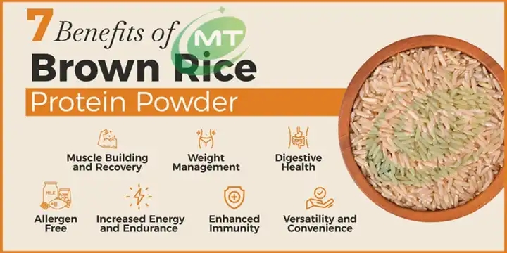 Хидролизиран оризов протеин на прах