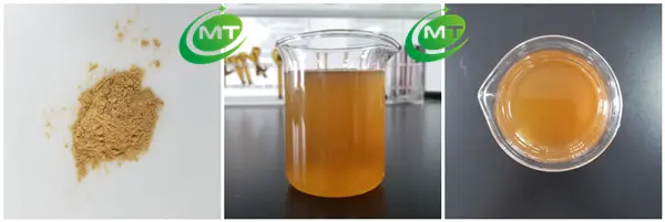 Lion's Mane Extract