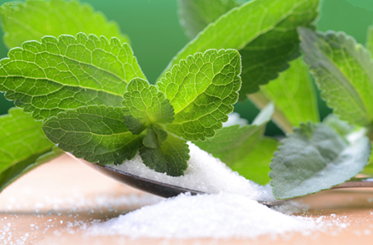 Stevia Powder