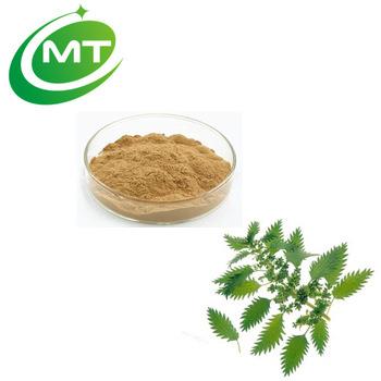 Stunning Nettle Extract Powder