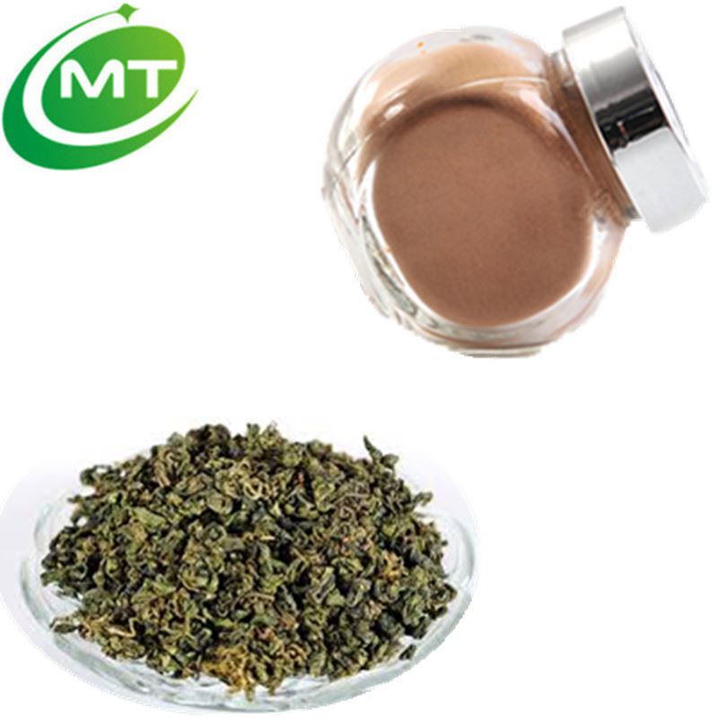 'Southern Ginseng'Gynostemma Extract