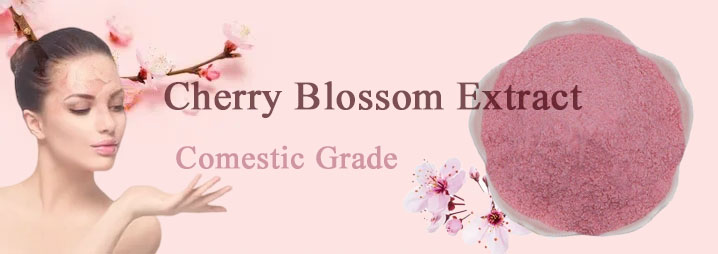 Cherry Blossom Powder