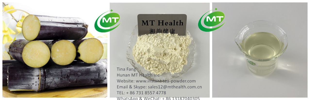 Sugar Cane Extract