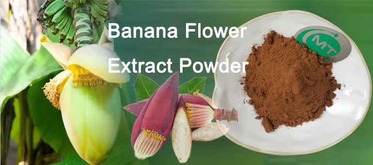 Banana Flower Extract