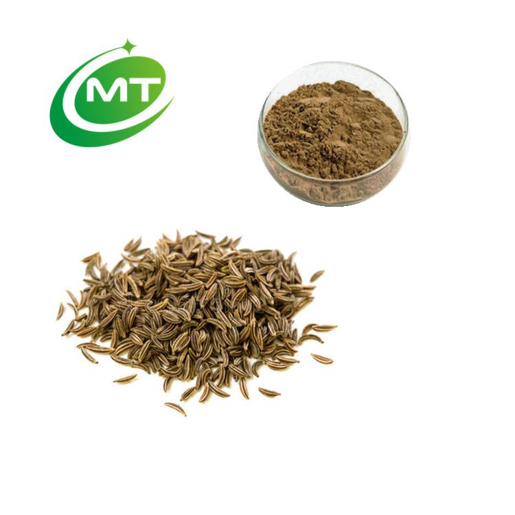 Can be used as food and medicine extract—Celery Seed Extract