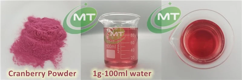 Cranberry Powder