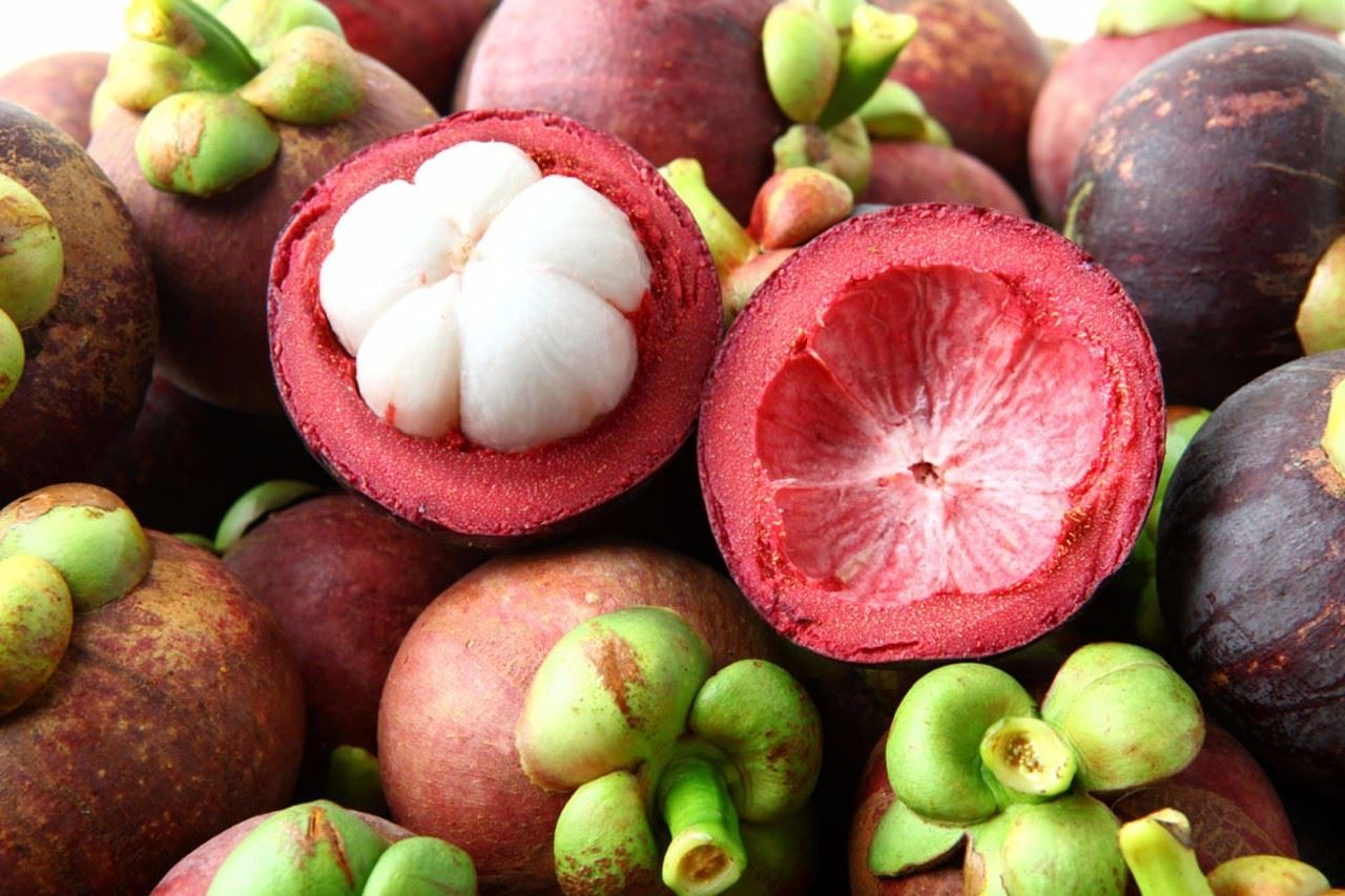 Mangosteen Extract