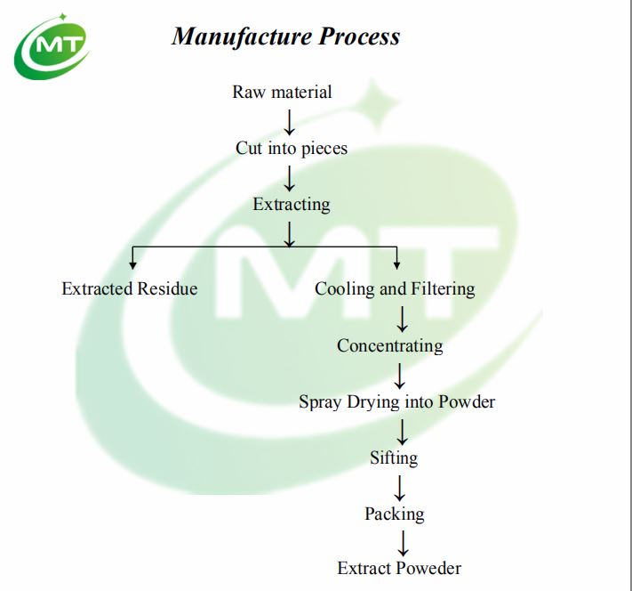 Kacip Fatima Extract