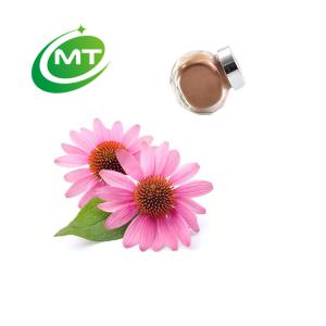 Echinacea Extract