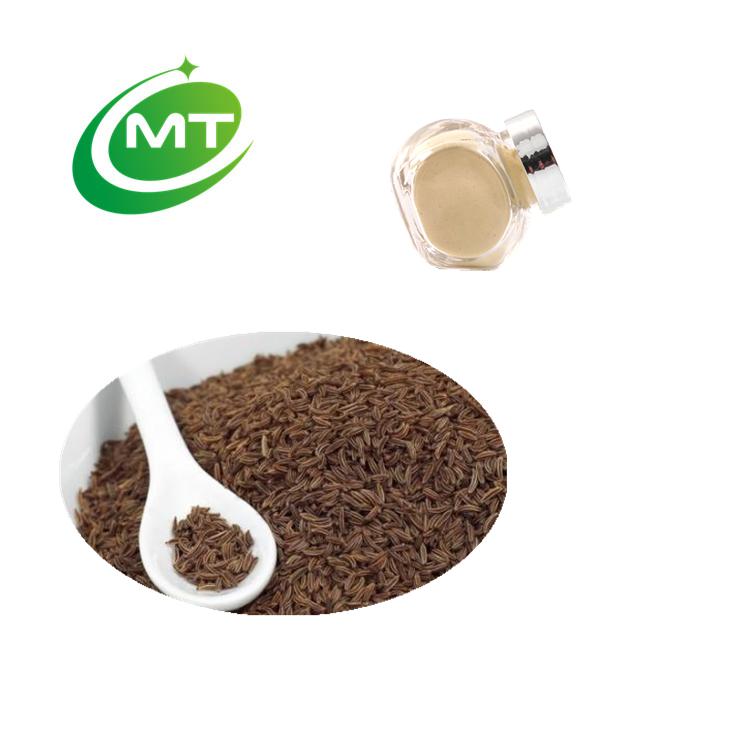 Can be used as food and medicine extract—Celery Seed Extract