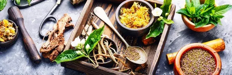 Valerian Extract